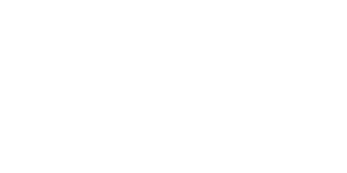 Falconbet Casino Logo