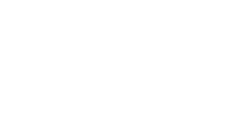 VIP Spins Casino