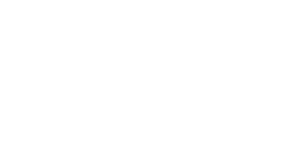 VIP Spins Casino Logo