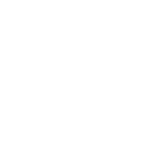 VIP Spins Casino Logo