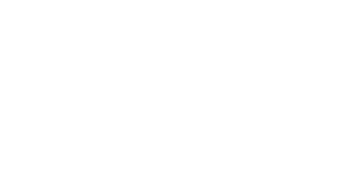 White Lion Casino Logo