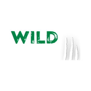 Wild Casino Logo