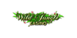 Wild Jungle Casino
