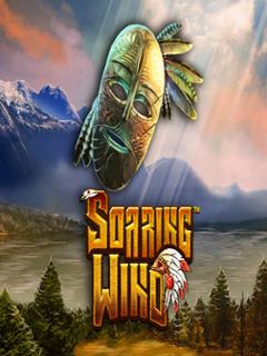 Soaring Wind