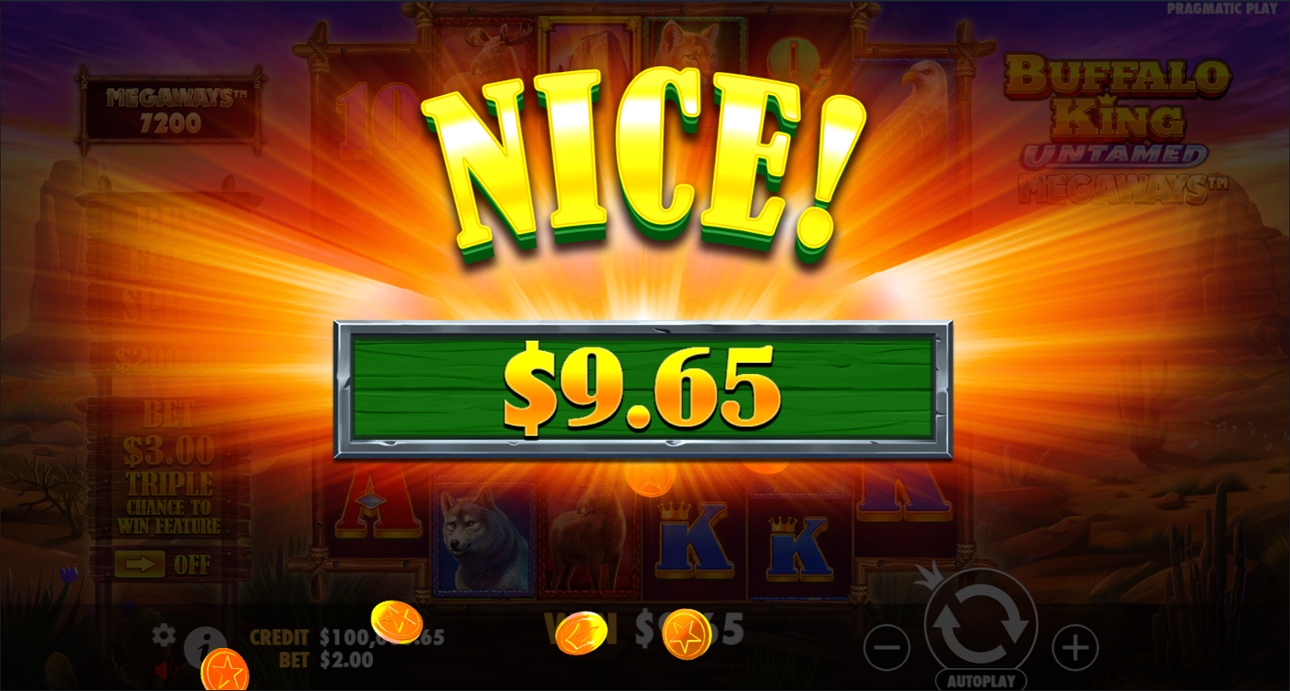 Buffalo King Untamed Megaways nice win