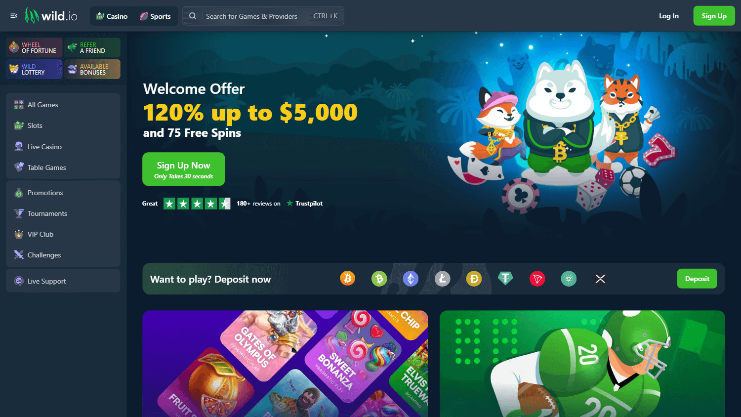 wild.io_casino_homepage_desktop