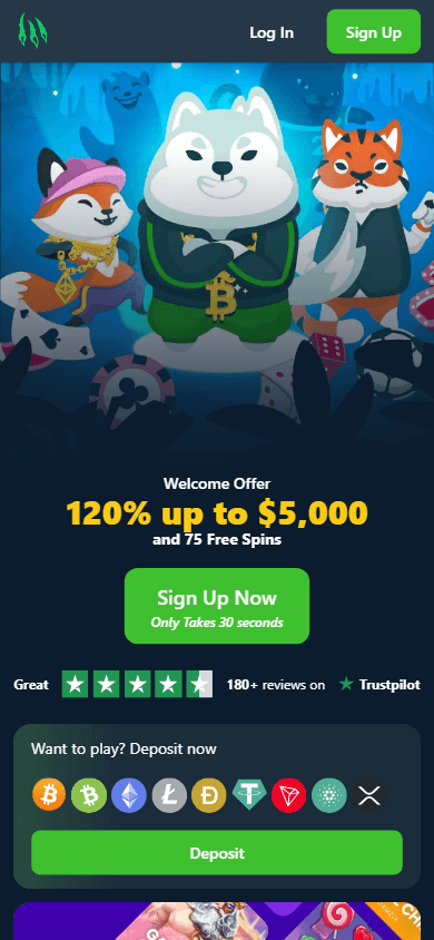 wild.io_casino_homepage_mobile