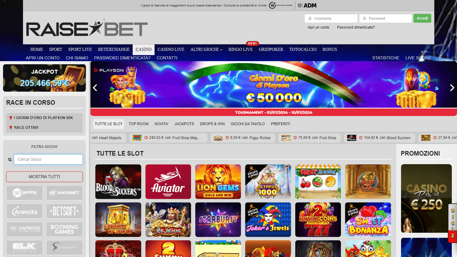 raisebet_casino_game_gallery_desktop