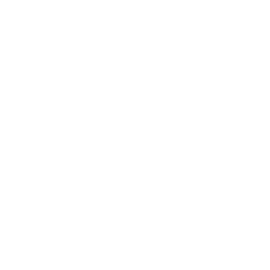 Vindstort.dk Casino Logo