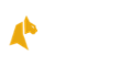 Felix Spin Casino