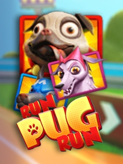 Run Pug Run