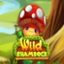 Wild Shamrock