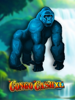 Congo Cash XL
