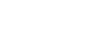 Leaowin02 Casino Logo