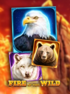 Fire of the Wild