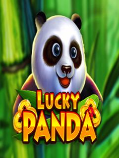 Lucky Panda