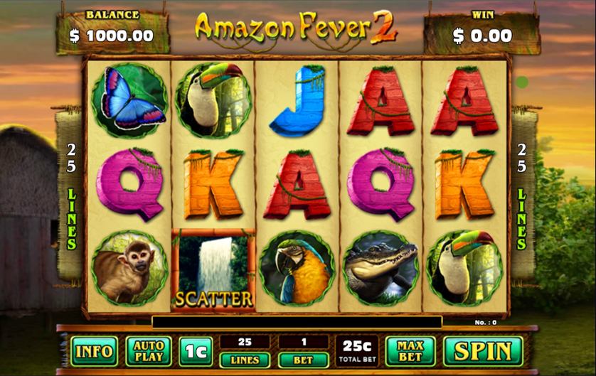 Amazon Fever 2.jpg