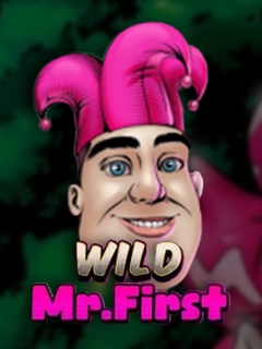 Wild Mr. First