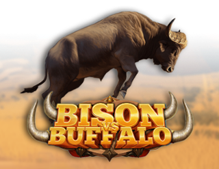 Bison vs Buffalo