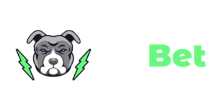 Pit Bet Casino Logo