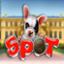 Spot